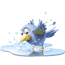 Twitter Icon